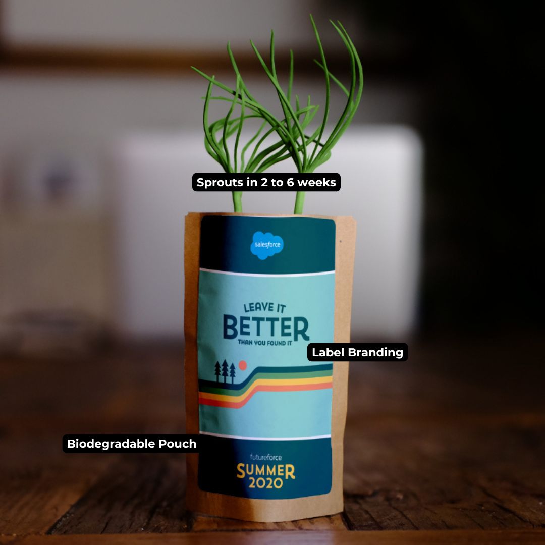 Tree Kit Pouch Label Branding - Image 2