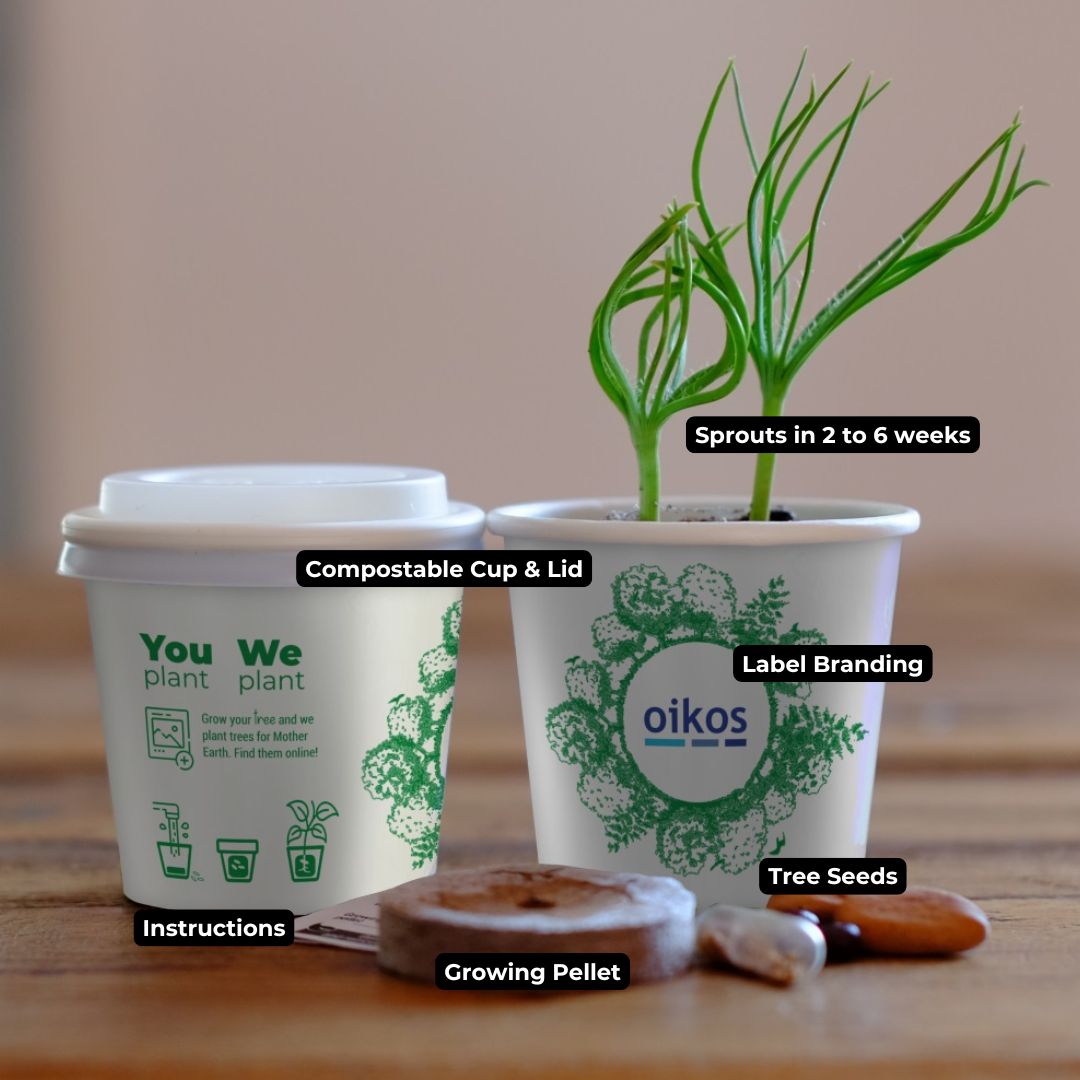 Tree Kit Cups Label Branding - Image 2