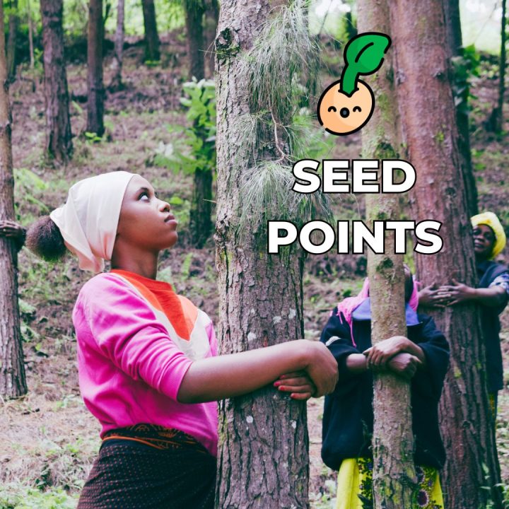 seed points