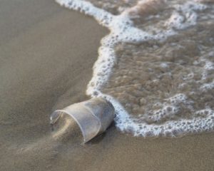 ocean plastic pollution quiz