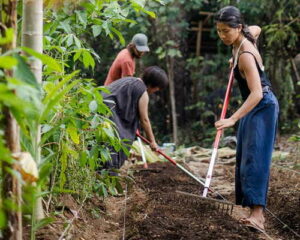 regenerative agriculture quiz