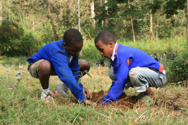 8 billion trees reforesting tanzania