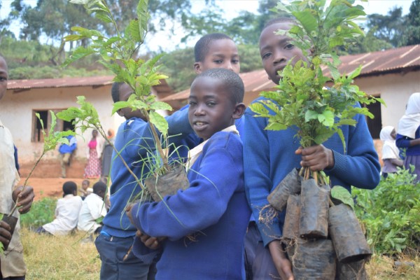 tanzania tree planting by happily