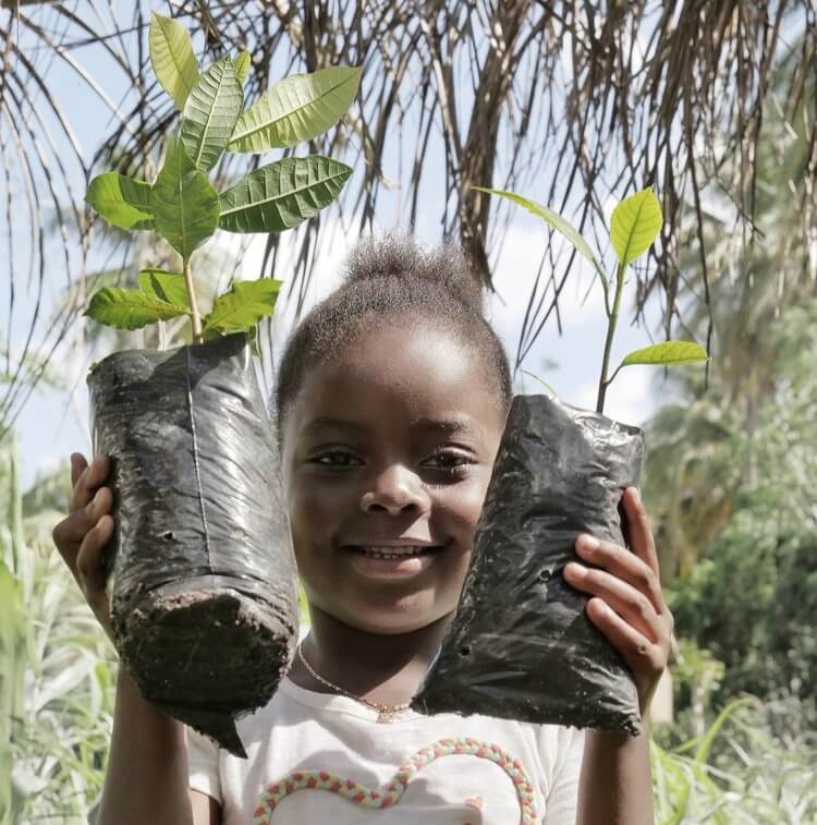 haiti planting