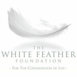 Profile picture of The White Feather Foundation Forest