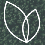 Profile picture of Brightmark Forest