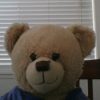 Profile picture of teddybear360