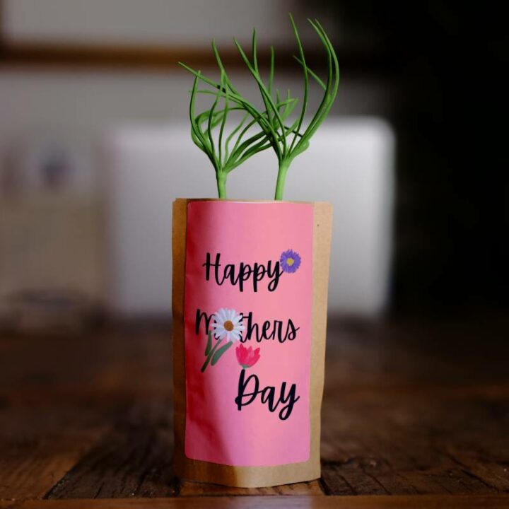 Happy Mother's Day 2021, Tree Kit gift, Pouch, Forest Nation