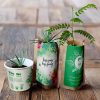 You Plant We Plant Tree Kits Happy Pack