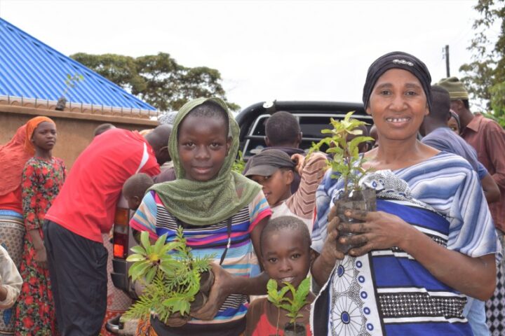 we plant in tanzania