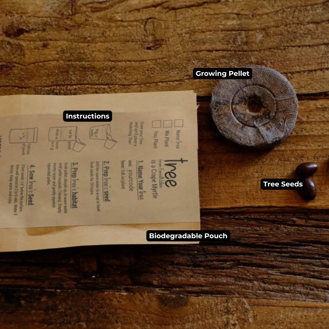 Instructions for planting tree seeds and growing pellet.