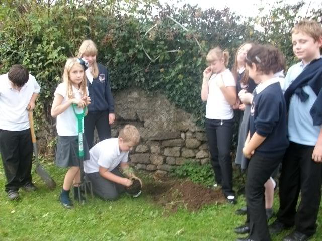 Tree planting 011