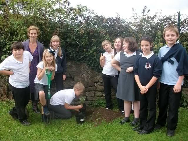 Tree planting 013