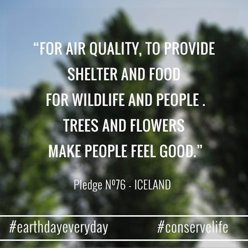 for-air-quality-to-provide-shelter-and-food-for-wildlife-and-people