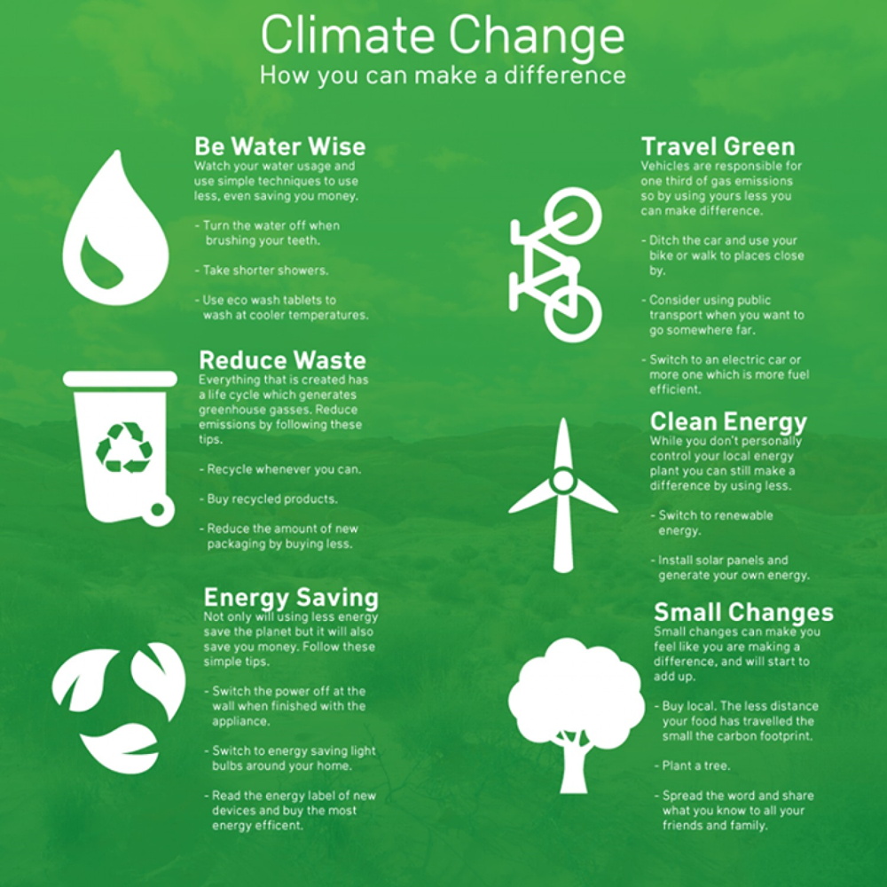 Climate Change: How you can make a difference - ForestNation