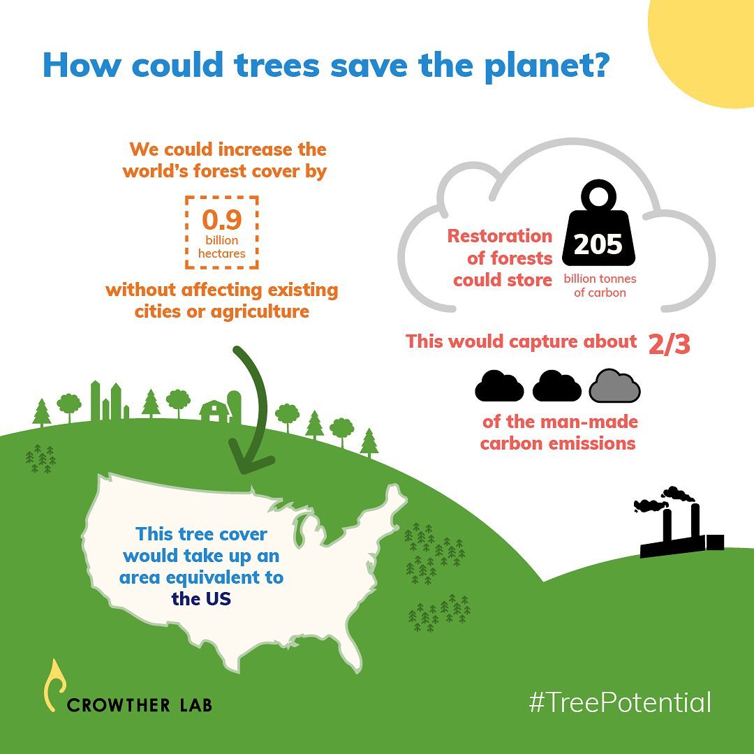 A Billion Hectares of Land Can Be Grown into Forests - ForestNation