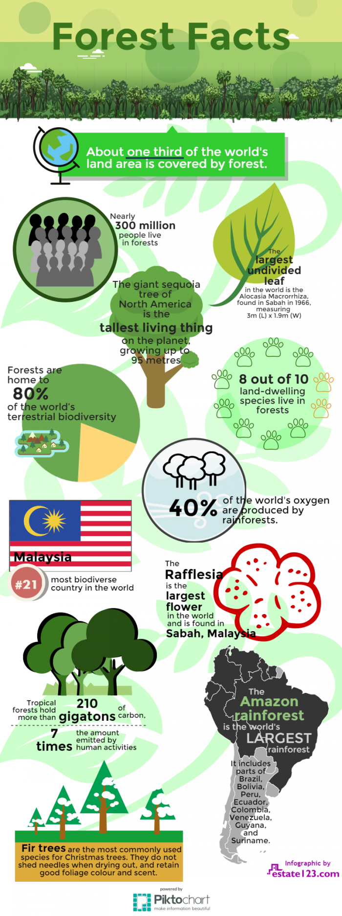 Forest Facts - ForestNation