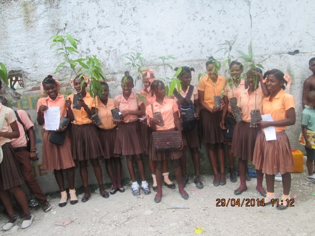 haiti schools tree distribution