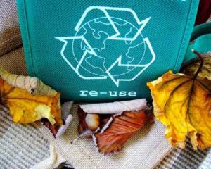 grand waste recycling ideas quiz