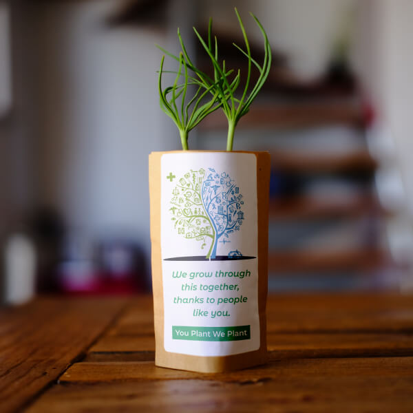 Tree-planting Kits Are A Unique Promotional Product: A Unique Marketing ...