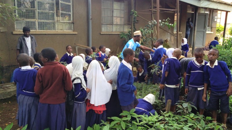 tanzania 2015 school tree distribution