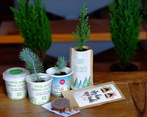 tree kits