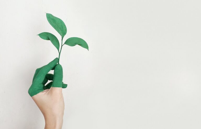 Why Going Green is Good For Business and How To Do It