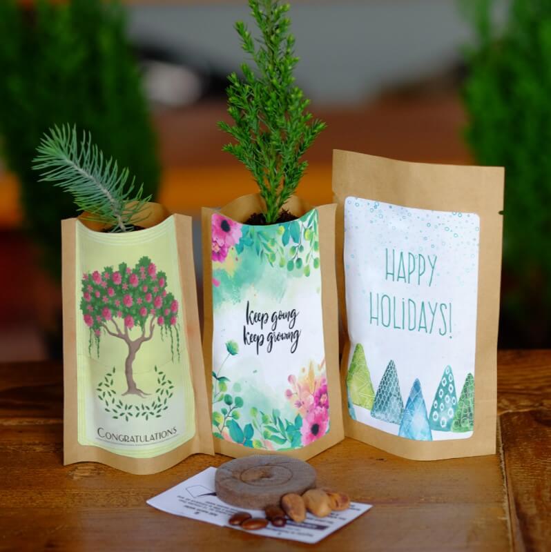 tree kit tree gifts