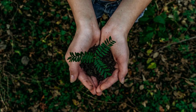 What to Consider When Starting an Eco-Friendly Company