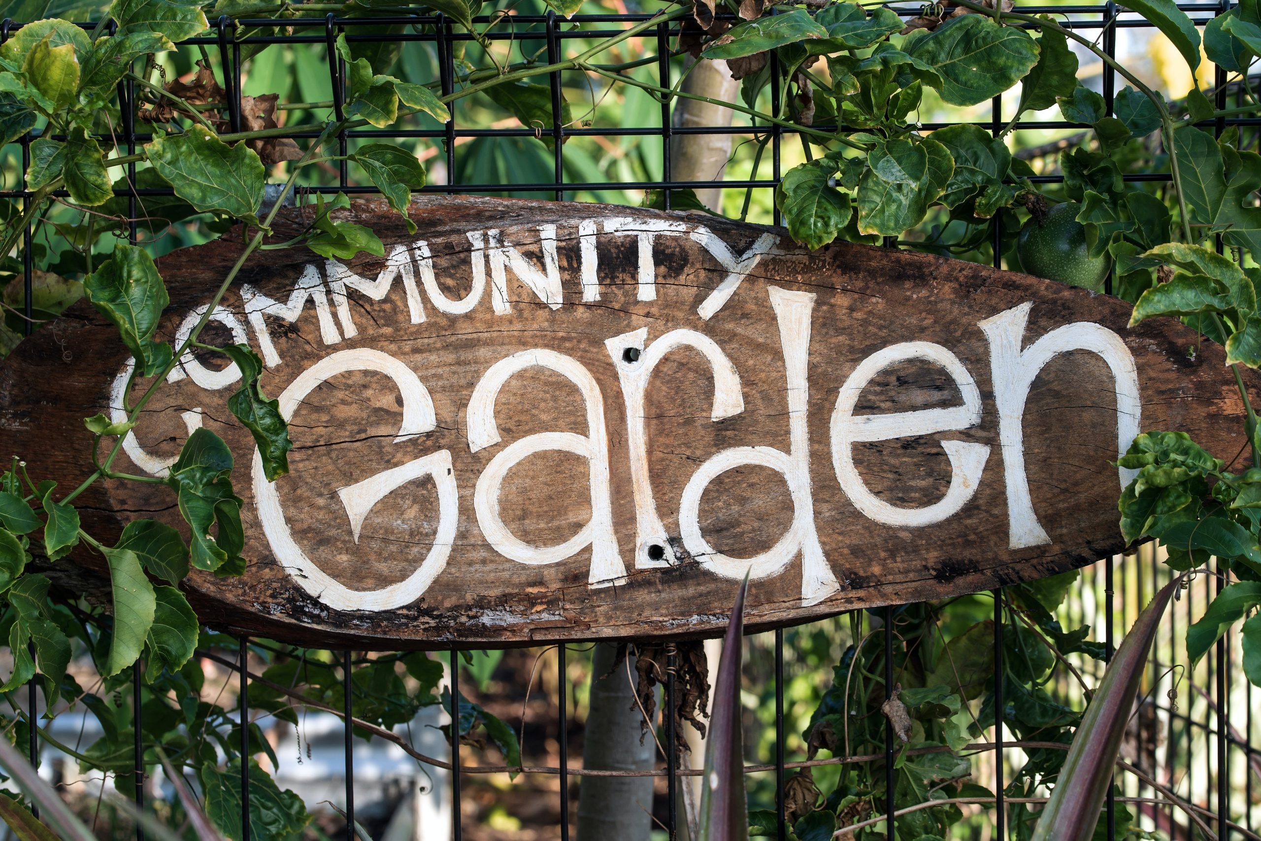 community garden,sustainable gardening,sustainable community