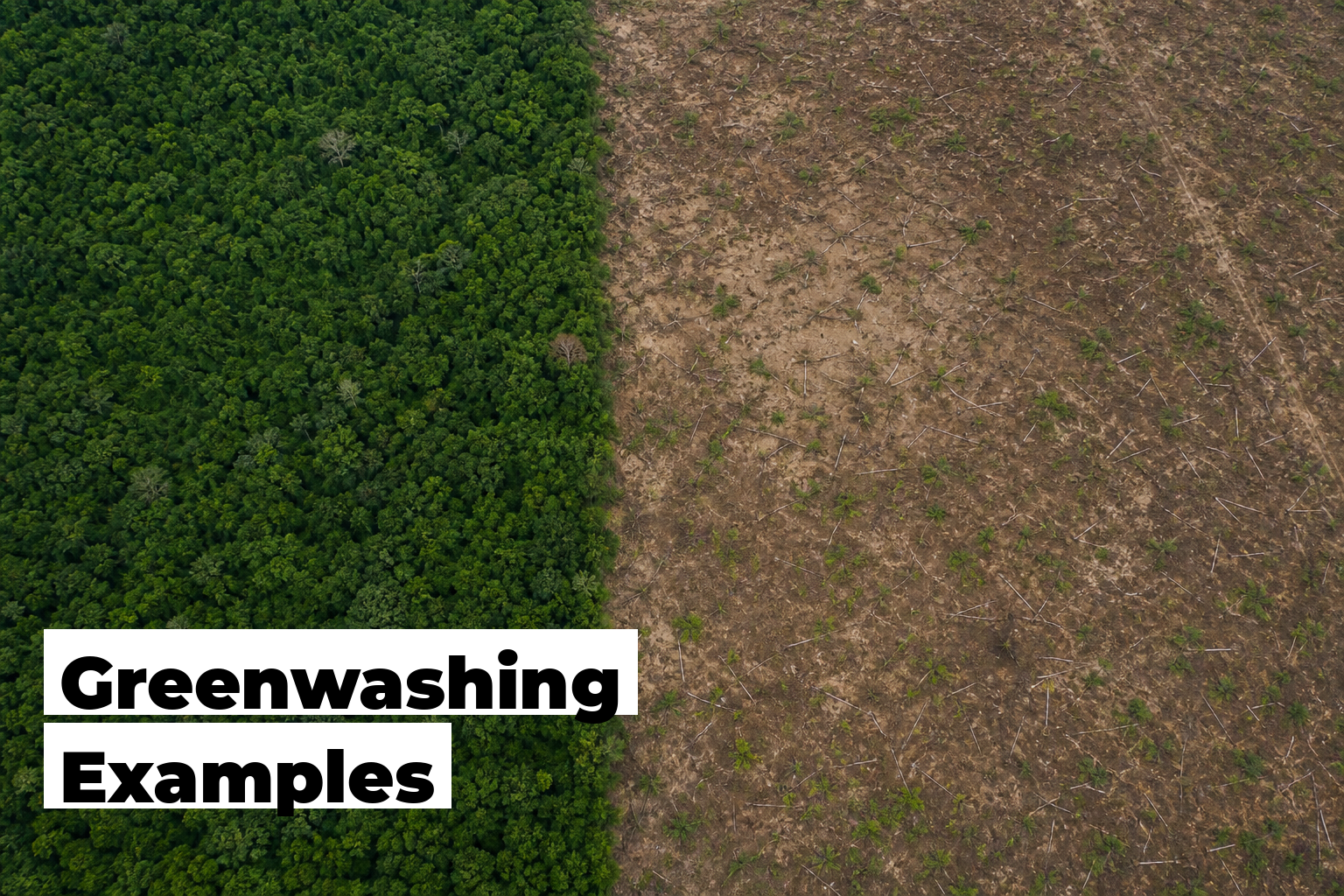 Aerial view showing the contrast between healthy forest and deforested land