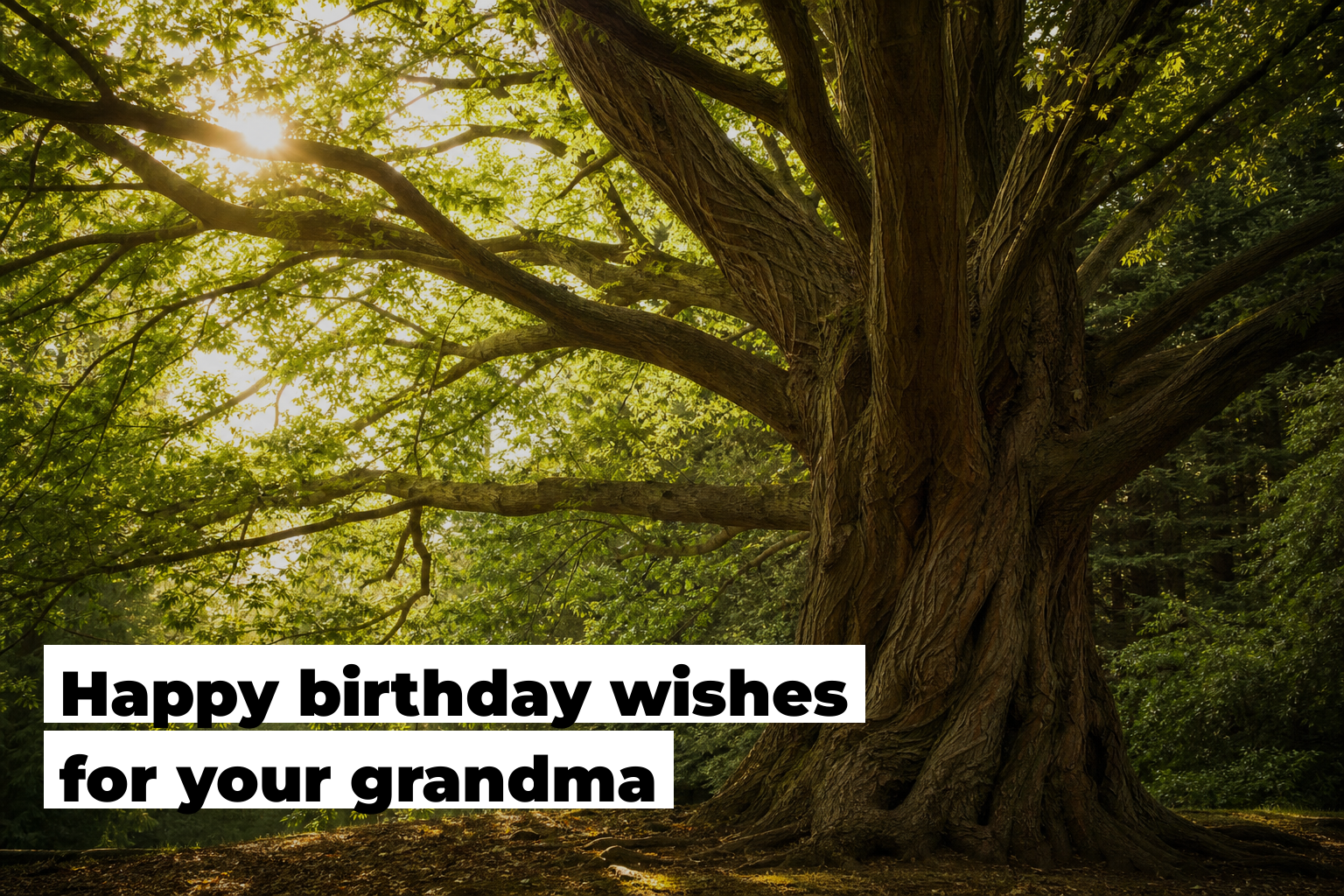 Happy birthday wishes for your grandma, forest scene by ForestNation