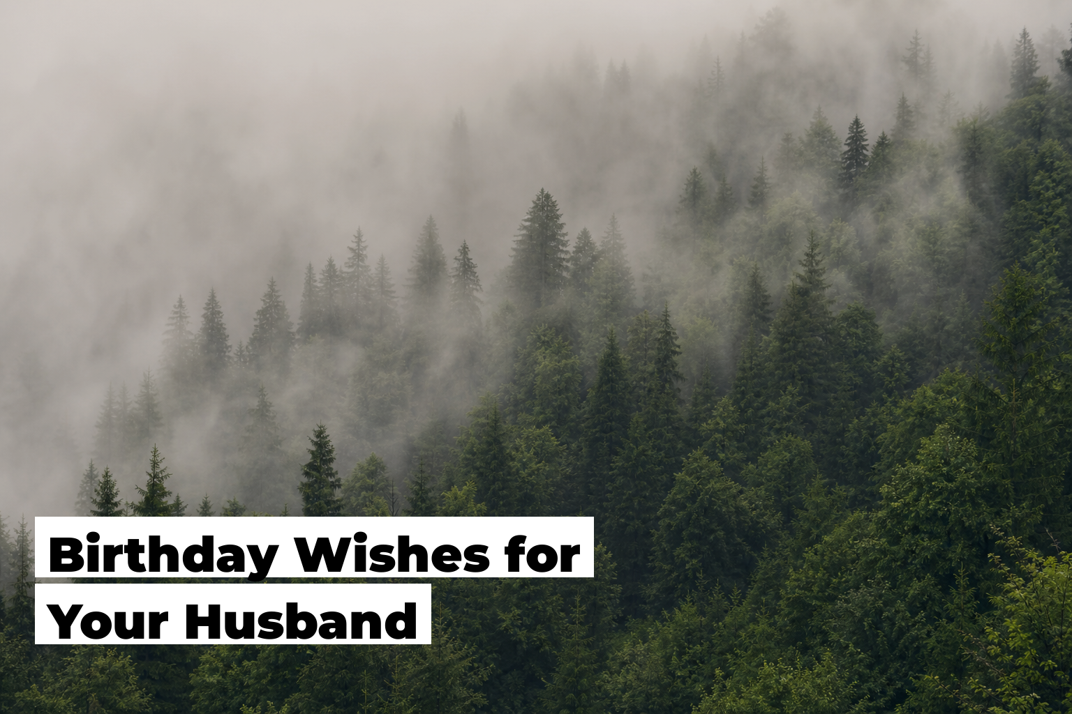 Birthday Wishes For Husband, forest scene by ForestNation