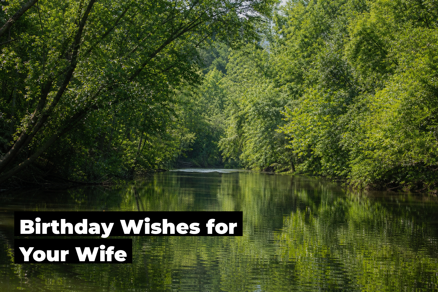 Birthday Wishes For Wife, forest scene by ForestNation