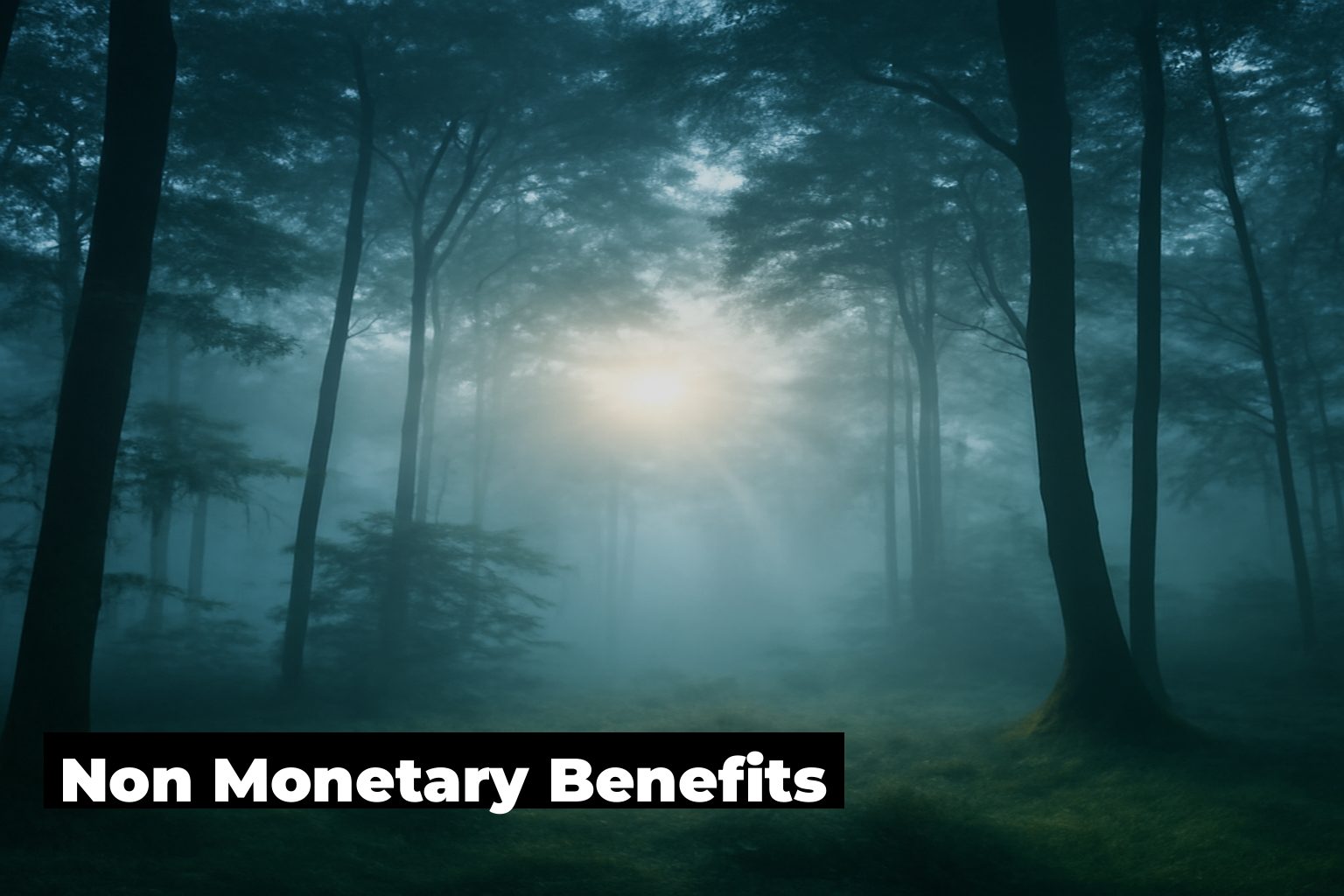 Non monetary benefits for employees, forest scene by ForestNation
