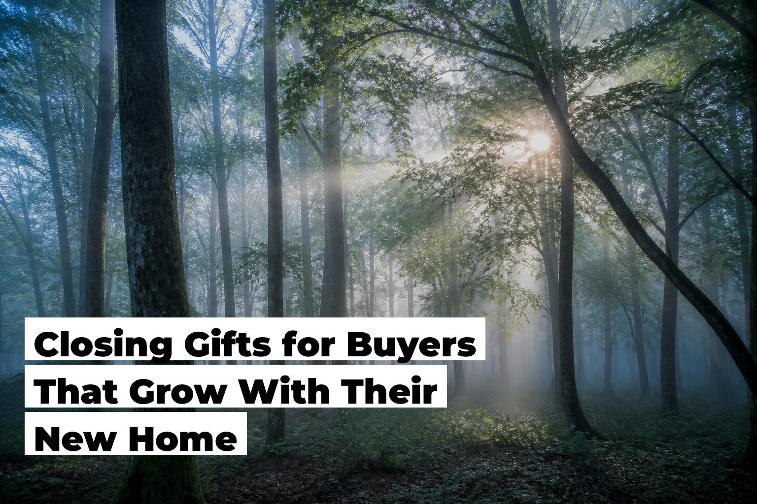 Closing gifts for buyers, forest scene by ForestNation