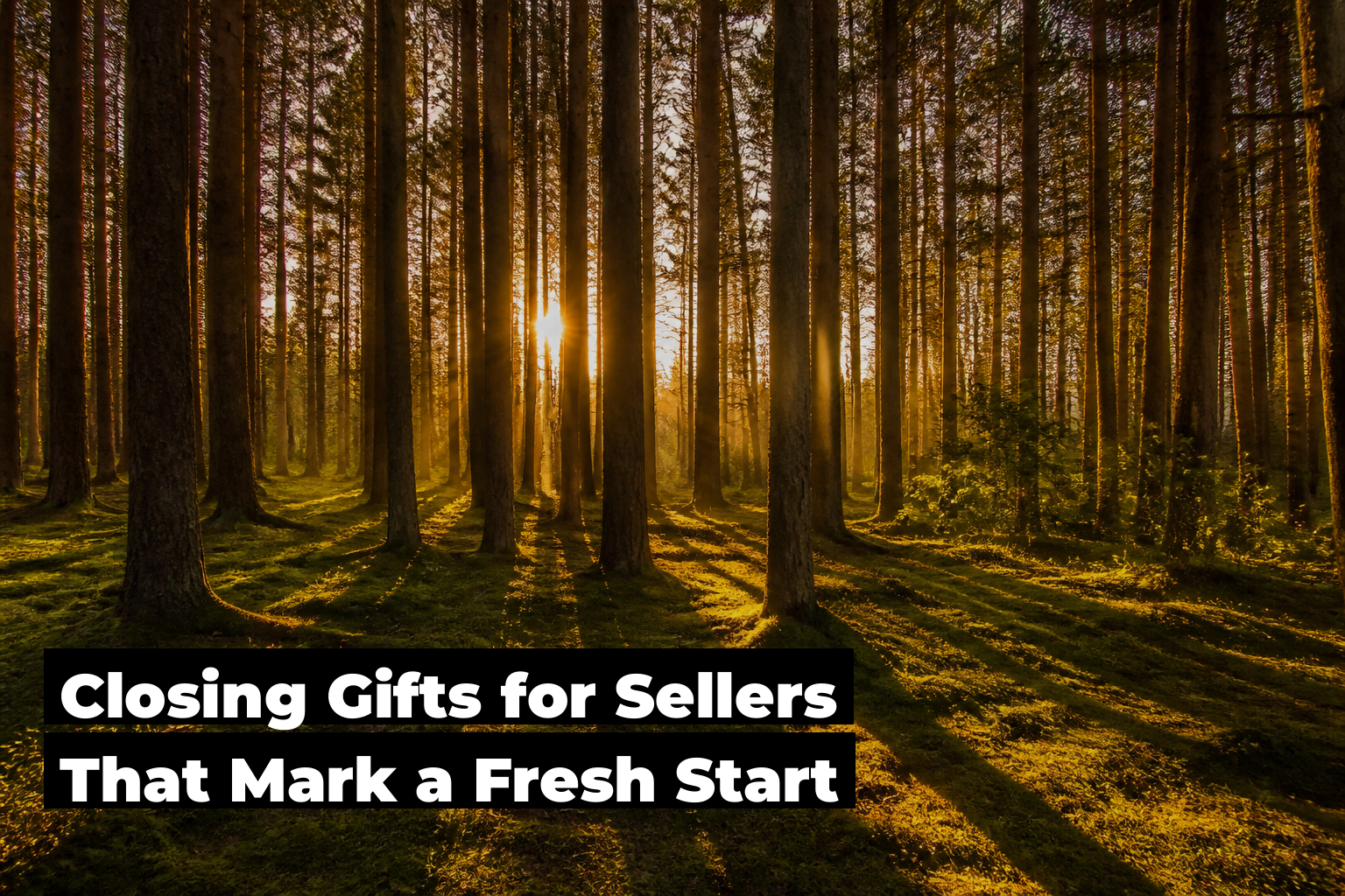 Closing gifts for sellers, forest scene by ForestNation