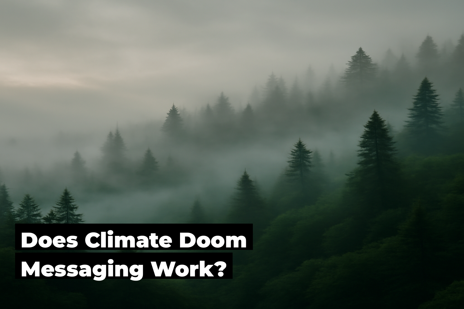 Does Climate Doom Messaging Work, forest scene by ForestNation
