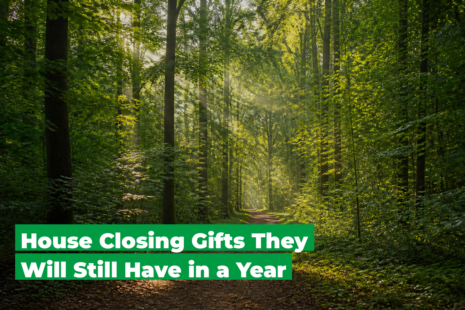 House closing gifts, forest scene by ForestNation