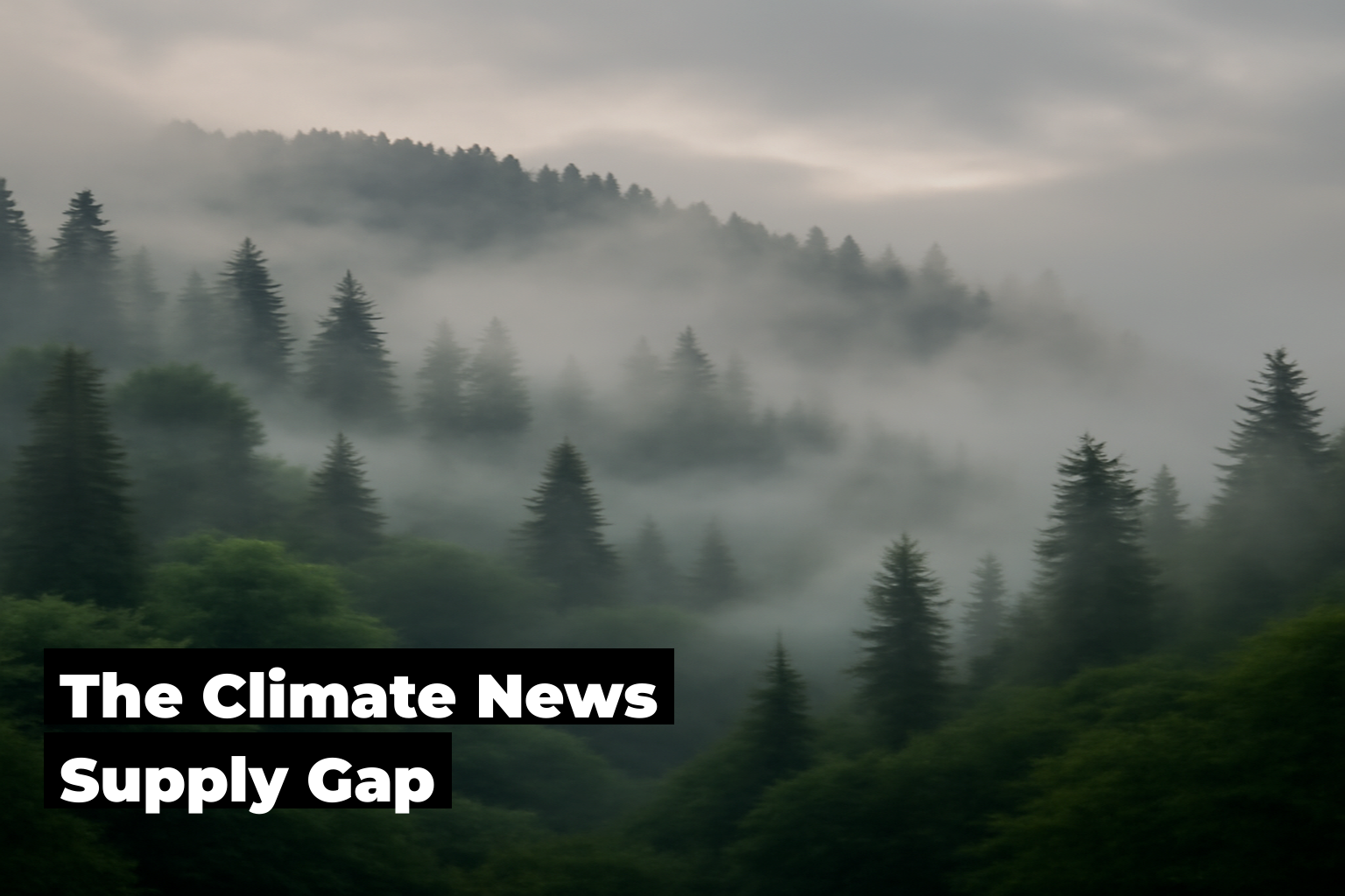 Climate News Supply Gap, forest scene by ForestNation