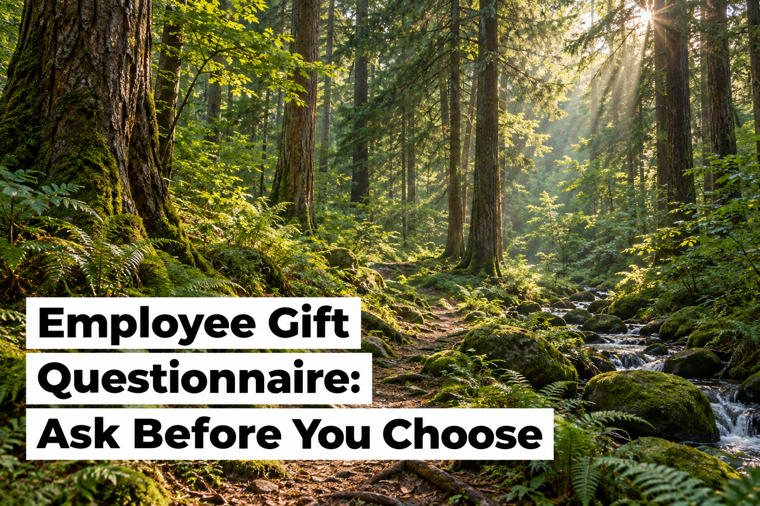 Employee gift questionnaire, forest scene with Ask Before You Choose title